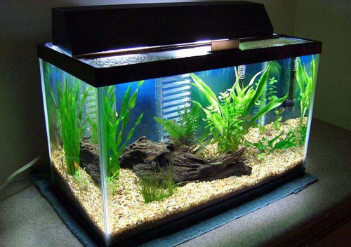 Cắt kiếng, cắt kính giá giẻ tại Tp HCM